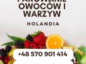 Zdjęcie ogłoszenia