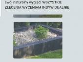 Zdjęcie ogłoszenia