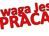 Zdjęcie ogłoszenia
