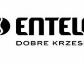Zdjęcie ogłoszenia