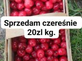 Zdjęcie ogłoszenia