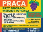 Zdjęcie ogłoszenia