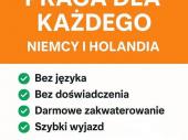 Zdjęcie ogłoszenia