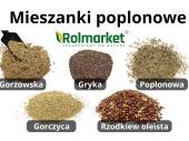 Zdjęcie ogłoszenia