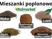 Zdjęcie ogłoszenia