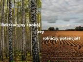 Zdjęcie ogłoszenia