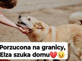 Zdjęcie ogłoszenia