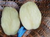Zdjęcie ogłoszenia