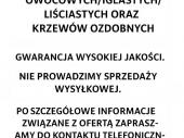 Zdjęcie ogłoszenia
