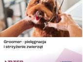 Zdjęcie ogłoszenia