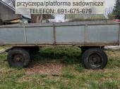 Zdjęcie ogłoszenia